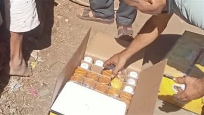 زراعة الفيوم تطلق حملة لمكافحة النمل الأبيض