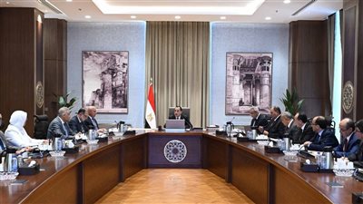 مدبولي: تنويع مصادر استيراد اللحوم الحمراء لتحقيق توازن الأسعار في الأسواق