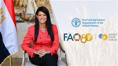 المشاط: تحقيق الأمن الغذائي ورفع كفاءة سلاسل القيمة الزراعية أولوية قصوى