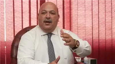  عادل حسني: نجاح السياسة الخارجية المصرية يعزز الثقة في الاقتصاد الوطني