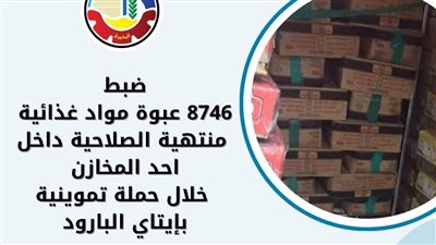 ضبط 8746 عبوة مواد غذائية منتهية الصلاحية بالبحيرة 