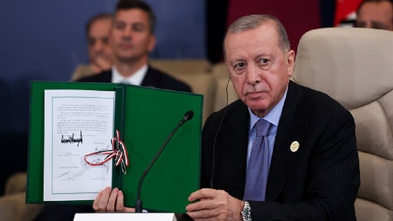 أردوغان، فيتو