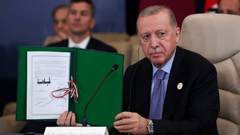 أردوغان، فيتو