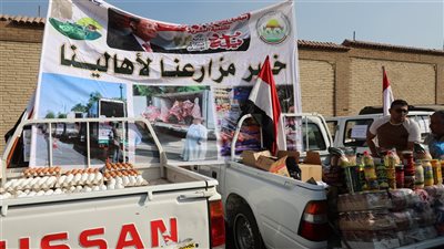 محافظ القاهرة يتفقد قافلة 