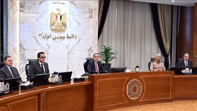 مجلس الوزراء يقر تعديل اسم جامعة حلوان إلى جامعة العاصمة 