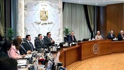 مجلس الوزراء يقرر استمرار تحمل المالية لفروق سعر الفائدة في مبادرة الصناعة والزراعة