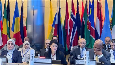 المشاط: نقدر جهود مؤسسات التمويل العربية وأهمية التكامل الإقليمي 