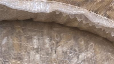 التحفظ على مكرونة فاسدة داخل مصنع تعبئة في حملة تموينية بالفيوم 