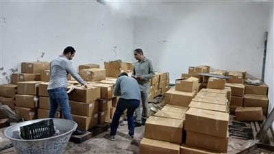 ضبط 13 طن أسماك فاسدة وعلف وسماد مدعّم في حملات تموينية مكثفة بالإسكندرية