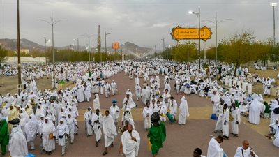 شركات السياحة تبدأ معاينة وتوثيق عقود سكن الحجاج بمكة والمدينة الأسبوع المقبل