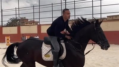 مدربة خيول تتهم شخصا بالتعدي عليها والسطو على جوازات سفر خيول منها حصان السقا بالجيزة