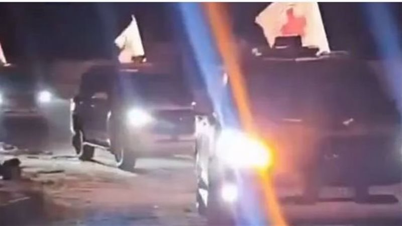 الصليب الأحمر، فيتو