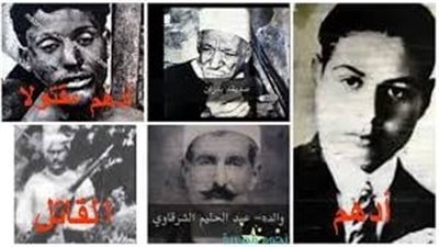 بطل أم مجرم، أدهم الشرقاوي لغز حائر ما بين إنصاف السادات وشيطنة الرواية الحكومية 