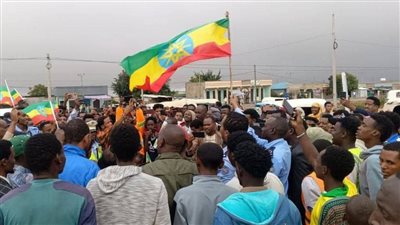 عجزت عن سداد ديونها ودخلت في الإفلاس، مستشار باليونسيف يفجر مفاجأة بشأن إثيوبيا