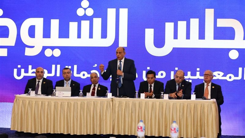 حزب حماة الوطن، فيتو