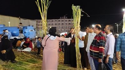 يا أبو اللبايش يا قصب مولد البدوي اتنصب، إقبال على عيدان السكر في مولد شيخ العرب