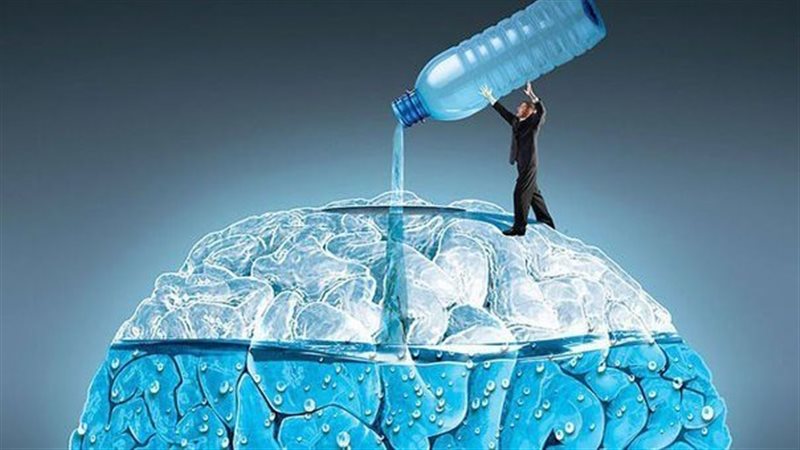 الماء لصحة الدماغ