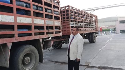 التموين تضبط سيارة محملة بأسطوانات غاز مخالفة بدمياط 