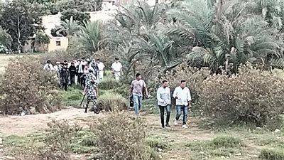 نيابة الإسماعيلية تقرر إيداع المتهم بقتل زميله وتقطيعه إلى أشلاء بدار رعاية 