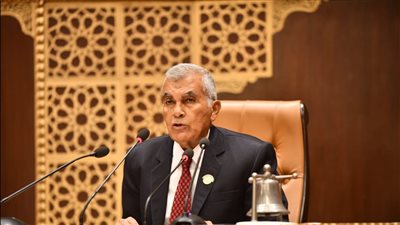 رئيس مجلس الشيوخ: صدور قانون الإجراءات الجنائية خطوة تشريعية تاريخية