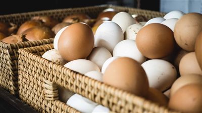 أسعار البيض اليوم السبت 18 أكتوبر 2025 في بورصة الدواجن