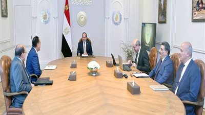 السيسي يؤكد لـ وزير الطيران المدني أهمية أن يستند مشروع 
