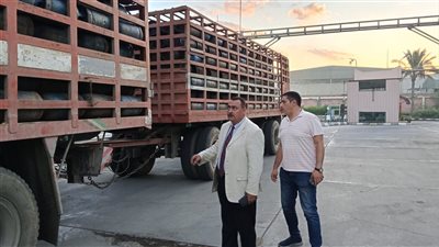 إحباط محاولة تهريب أكثر من ألف اسطوانة غاز قبل ساعات من تحريك الأسعار بدمياط 