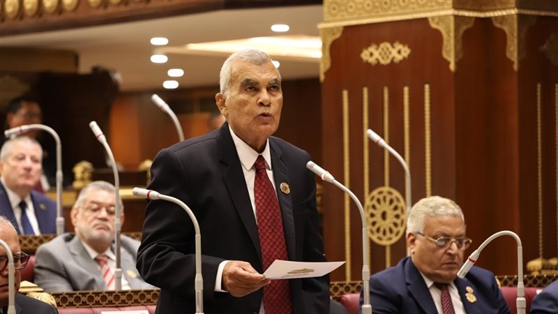 عصام فريد رئيس مجلس