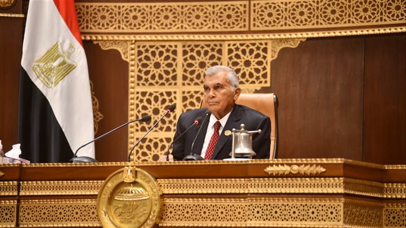المستشار عصام فريد