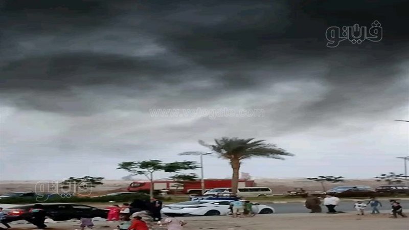 حريق سيارة بالشرقية،فيتو