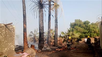 السيطرة على حريق شب في مخلفات زراعية بمدينة قها (صور)