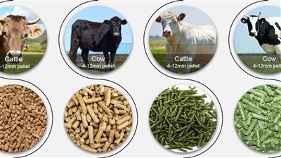  39 مليون دولار صادرات الأغلفة الحيوانية المصرية خلال أشهر في 2025