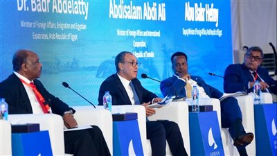 وزير الخارجية يستعرض جهود مصر لدعم الاستقرار في القرن الأفريقي