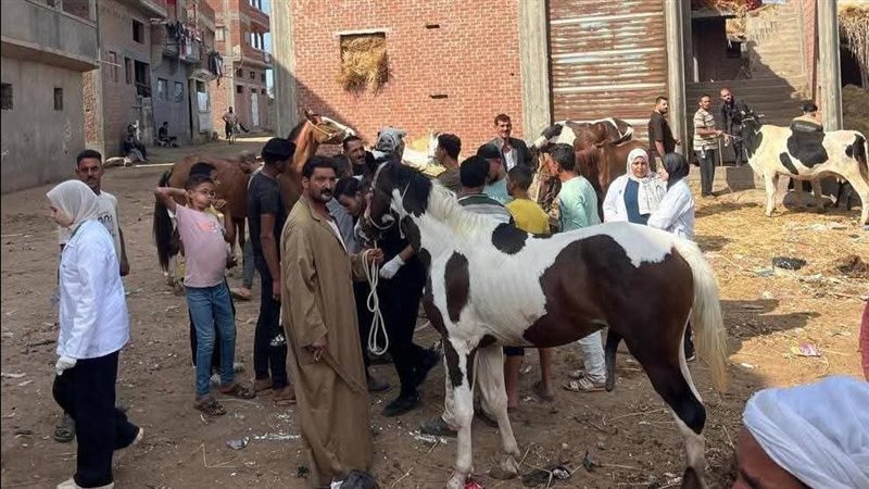 قافلة طبيه بيطرية