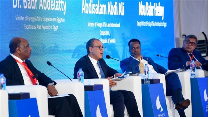 الدكتور بدر عبد العاطى