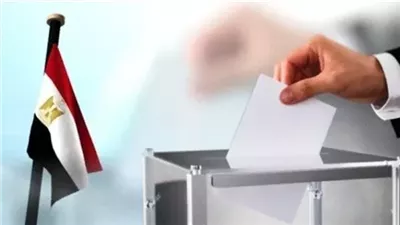 الحكم في طعون المرشحين لانتخابات مجلس النواب 2025 بالدقهلية غدا