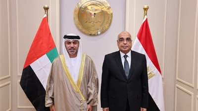 وزير العدل يستقبل سفير الإمارات بالقاهرة