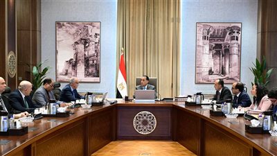 رئيس الوزراء يتابع جهود إزالة التعديات على مجرى النيل وأراضي طرح النهر