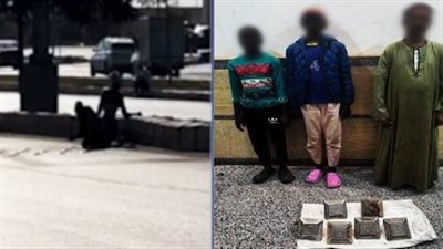 القبض على أجنبيتين بتهمة نزع قطع حديدية وسرقتها بطريق الواحات بالجيزة