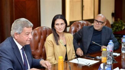 زكي عبد الحميد رئيسًا للجنة التمويل بتطوير الإعلام ودينا عثمان مقررًا 