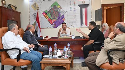 خطة عاجلة لتدبير القدرات الكهربائية للمناطق الصناعية الثقيلة بمدينة العاشر من رمضان