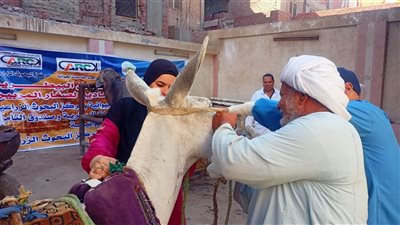 فحص وعلاج 1056 رأس ماشية في قافلة بيطرية لـ 