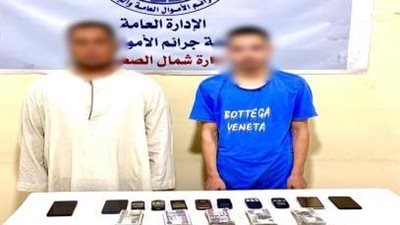 ضبط شخصين بالمنيا نصبا على المواطنين وسرقة بيانات بطاقات الدفع الإلكتروني