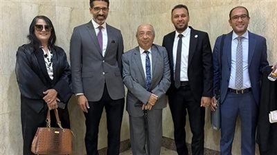 الإدارية العليا ترفض طعن هيثم الحريري على استبعاده من انتخابات مجلس النواب