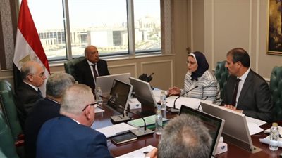 وزير الكهرباء يبحث مشروعات التغذية الكهربائية في توشكى وشرق العوينات والروبيكي