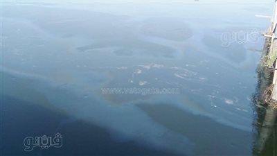 ظهور بقعة بترول كبيرة في مجرى النيل وتوقف محطة مياه الطود بالأقصر (صور)