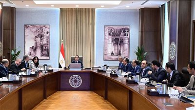 رئيس الوزراء يتابع مستجدات الموقف التنفيذي للمبادرة الرئاسية 