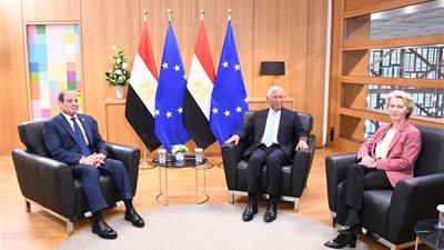 مصر والاتحاد الأوروبي يؤكدان دعمهما للسلام والاستقرار وانسحاب المرتزقة من ليبيا 