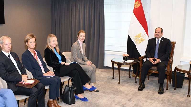 الرئيس عبد الفتاح