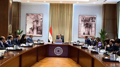 رئيس الوزراء يتابع الموقف التنفيذي للطاقات المتجددة وتدعيم الشبكة القومية للكهرباء